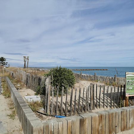 Appartement Refait A Neuf, Climatise Avec Vue Mer Et Montagne, Avec Place De Parking Privative Saint-Cyprien  Exterior foto