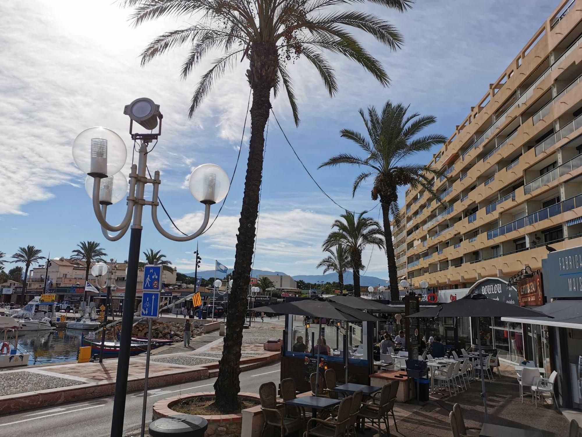 Appartement Refait A Neuf, Climatise Avec Vue Mer Et Montagne, Avec Place De Parking Privative Saint-Cyprien  Exterior foto