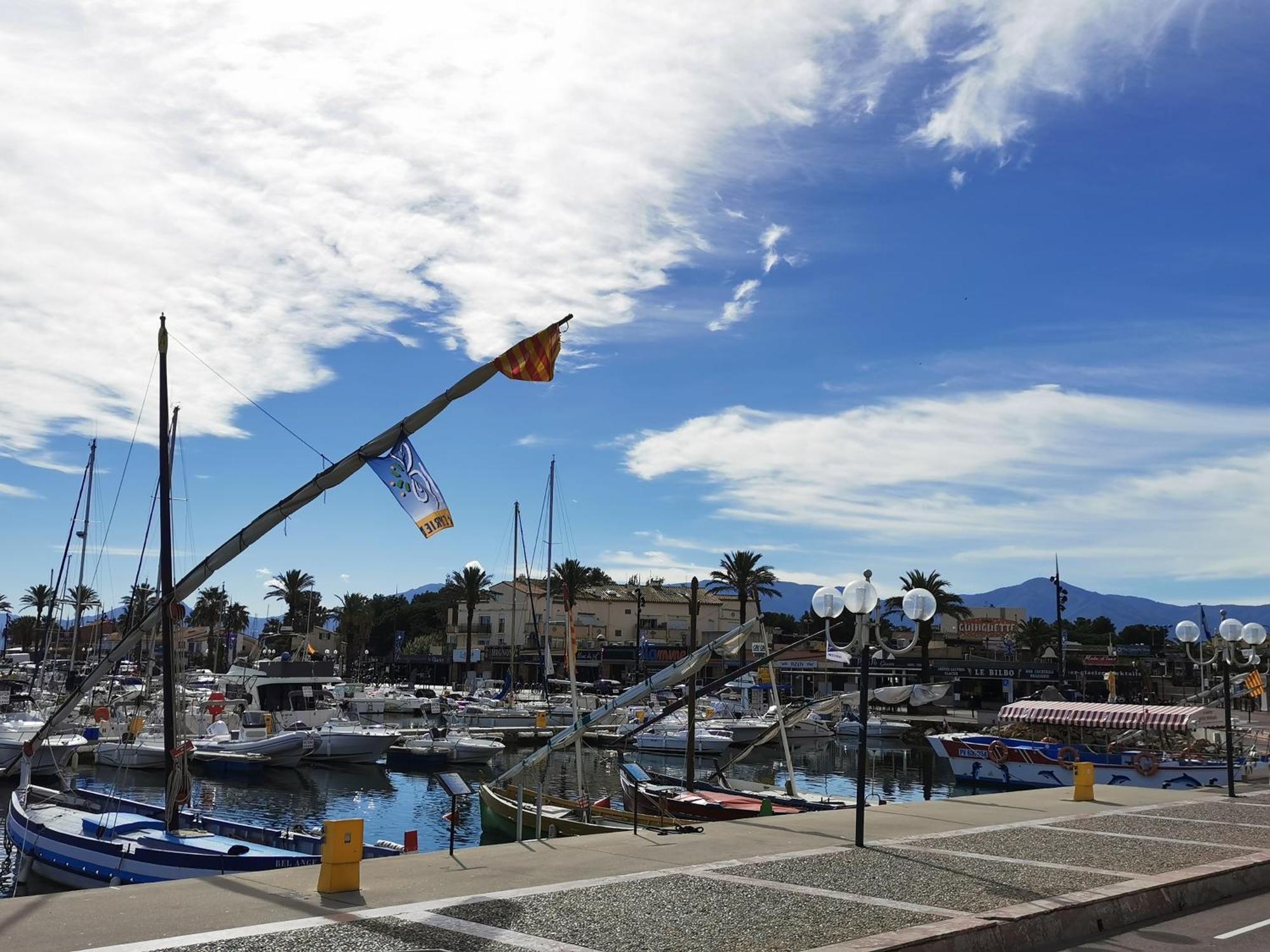 Appartement Refait A Neuf, Climatise Avec Vue Mer Et Montagne, Avec Place De Parking Privative Saint-Cyprien  Exterior foto