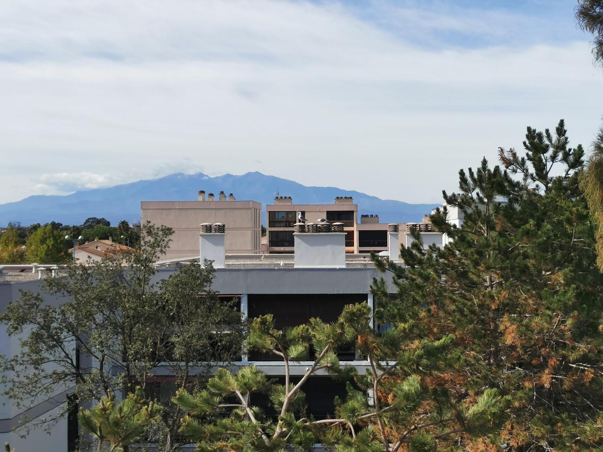 Appartement Refait A Neuf, Climatise Avec Vue Mer Et Montagne, Avec Place De Parking Privative Saint-Cyprien  Exterior foto